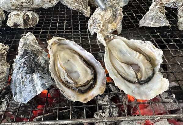 牡蠣焼き食べ放題と祐徳稲荷神社 日帰りバスツアー🚌1